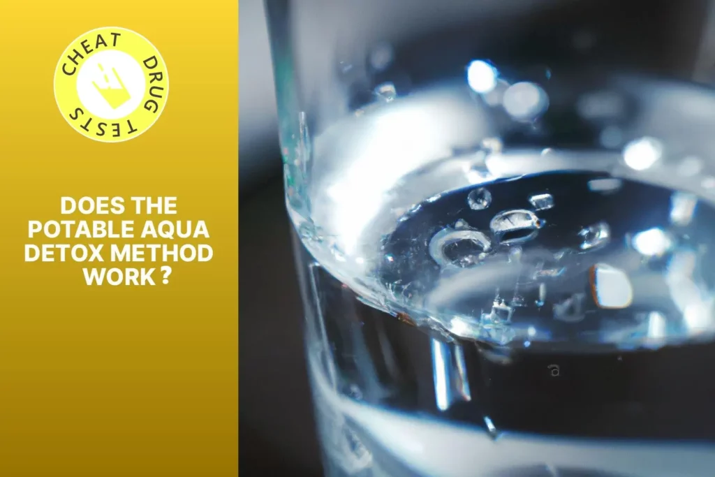 Does the Potable Aqua Detox method really work