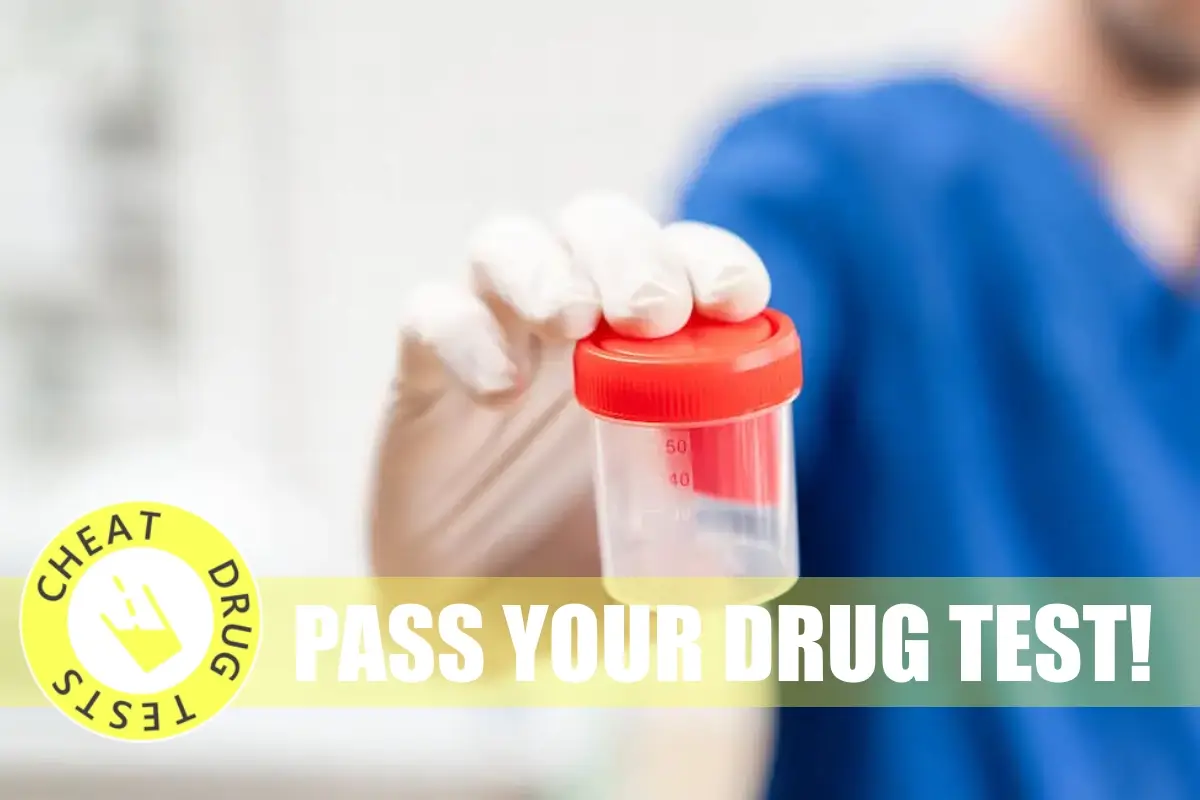 Best Way To Cheat Drug Tests Effectively in 2023