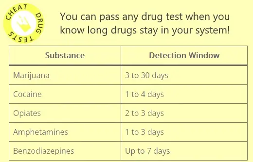 Pass Urine a Drug Test Fast